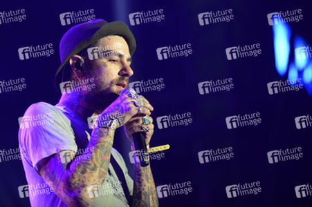 Highfield Festival 2014, Großpösna