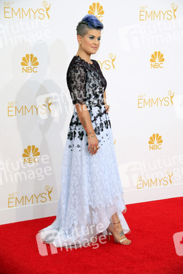 66. Primetime Emmy Awards, Los Angeles
