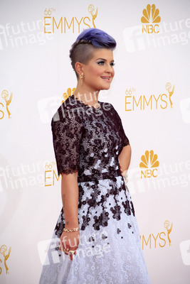 66. Primetime Emmy Awards, Los Angeles