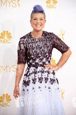66. Primetime Emmy Awards, Los Angeles