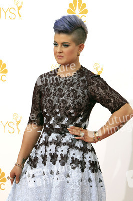 66. Primetime Emmy Awards, Los Angeles