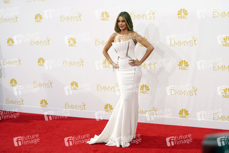 66. Primetime Emmy Awards, Los Angeles
