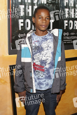 'Song from the Forest' Premiere, Hamburg