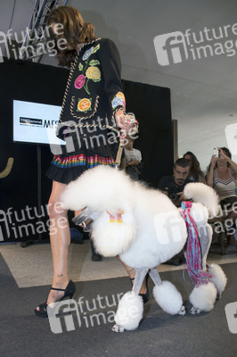 H. Preppy Fashion Show, Madrid