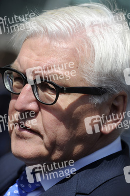 Frank-Walter Steinmeier bei der UN, New York