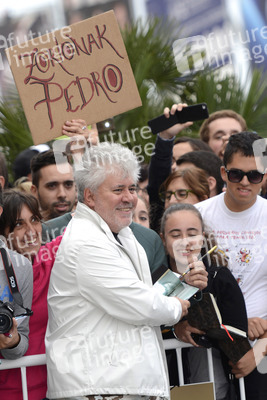Ankunft von Pedro Almodóvar auf dem San Sebastian Film Festival 2014