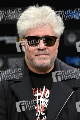 'Relatos salvajes' Press Conference, San Sebastian Film Festival 2014
