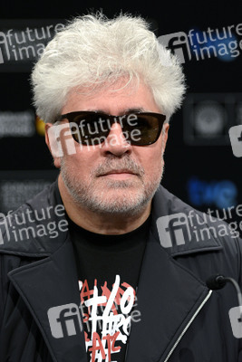 'Relatos salvajes' Press Conference, San Sebastian Film Festival 2014