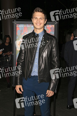 'Men, Women & Children' Premiere, Los Angeles