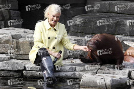 Walross Taufe im Tierpark Hagenbeck, Hamburg