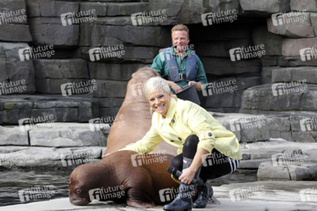 Walross Taufe im Tierpark Hagenbeck, Hamburg