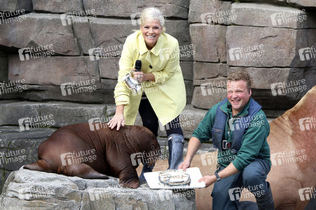 Walross Taufe im Tierpark Hagenbeck, Hamburg