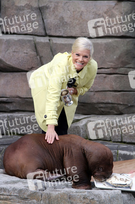 Walross Taufe im Tierpark Hagenbeck, Hamburg