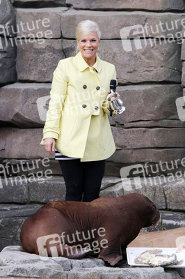 Walross Taufe im Tierpark Hagenbeck, Hamburg