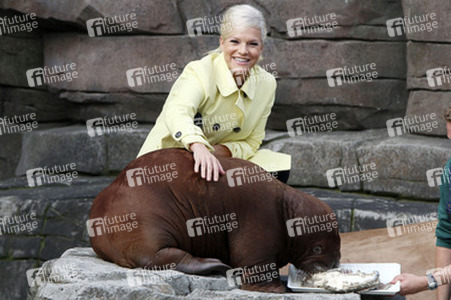 Walross Taufe im Tierpark Hagenbeck, Hamburg
