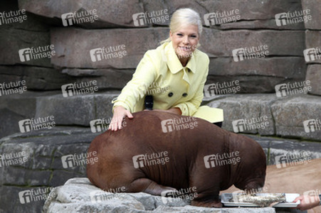 Walross Taufe im Tierpark Hagenbeck, Hamburg
