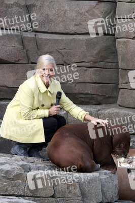 Walross Taufe im Tierpark Hagenbeck, Hamburg