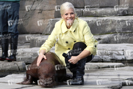 Walross Taufe im Tierpark Hagenbeck, Hamburg
