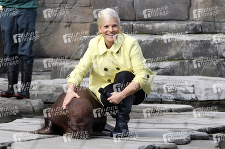 Walross Taufe im Tierpark Hagenbeck, Hamburg