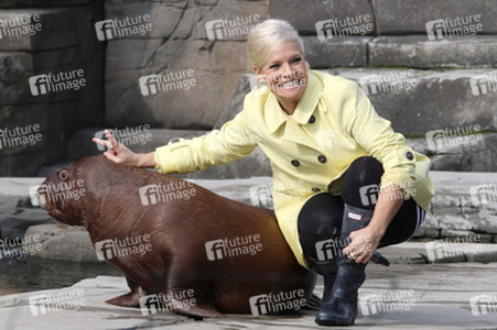 Walross Taufe im Tierpark Hagenbeck, Hamburg