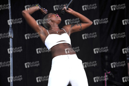 Austin City Limits Festival 2014