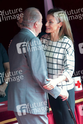 Red Cross Fundraising Day, Madrid
