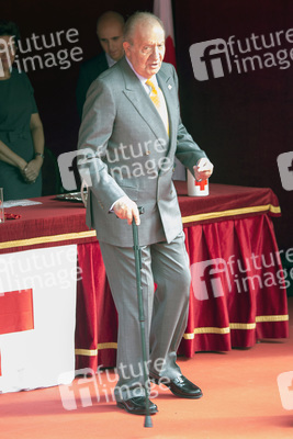 Red Cross Fundraising Day, Madrid