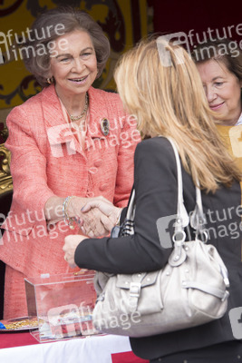 Red Cross Fundraising Day, Madrid