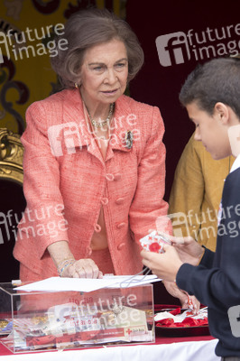 Red Cross Fundraising Day, Madrid