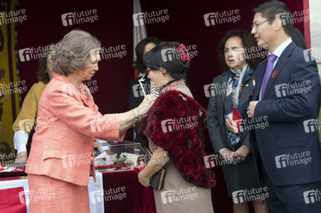 Red Cross Fundraising Day, Madrid