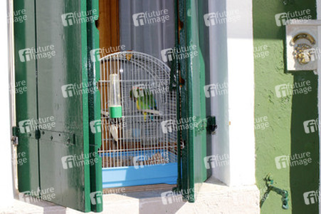 Sightseeing Burano