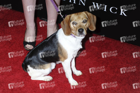 'John Wick' Premiere, New York