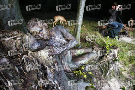 WORKING ART: In the Forest