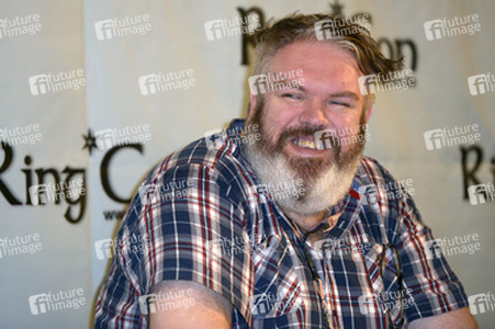 RingCon 2014, Bonn