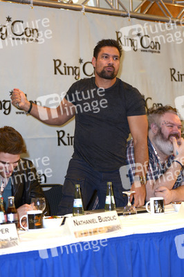 RingCon 2014, Bonn