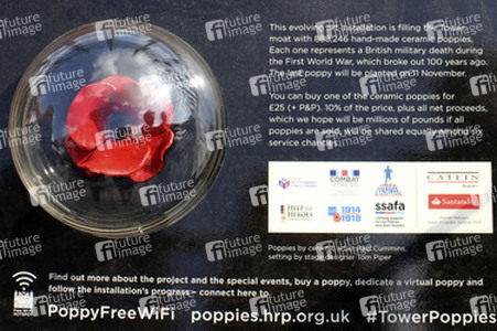 Poppy Installation am Tower, London