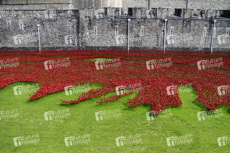 Poppy Installation am Tower, London