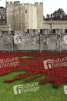 Poppy Installation am Tower, London