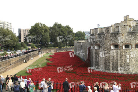 Poppy Installation am Tower, London