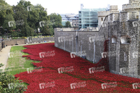 Poppy Installation am Tower, London