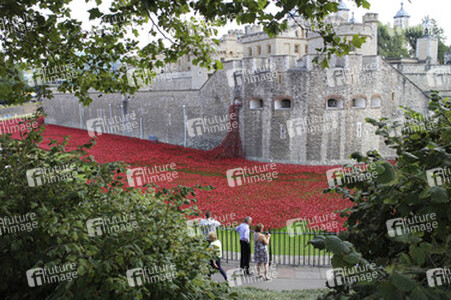Poppy Installation am Tower, London