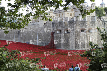 Poppy Installation am Tower, London