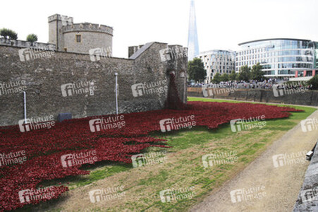Poppy Installation am Tower, London