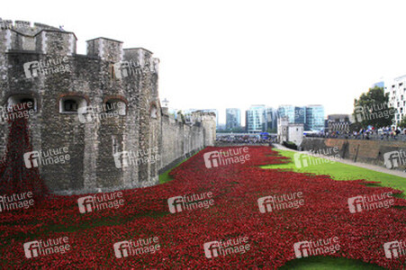Poppy Installation am Tower, London