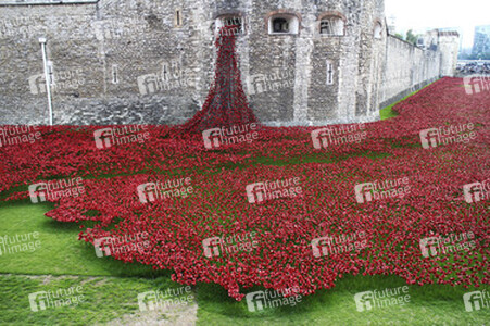 Poppy Installation am Tower, London