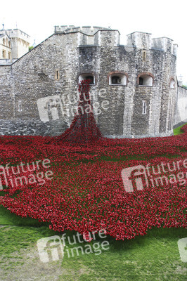 Poppy Installation am Tower, London