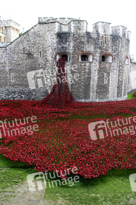 Poppy Installation am Tower, London