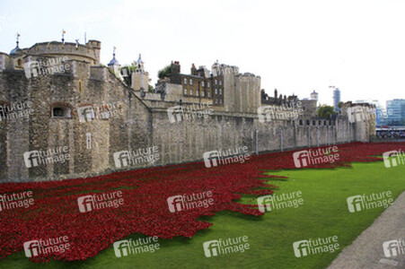 Poppy Installation am Tower, London