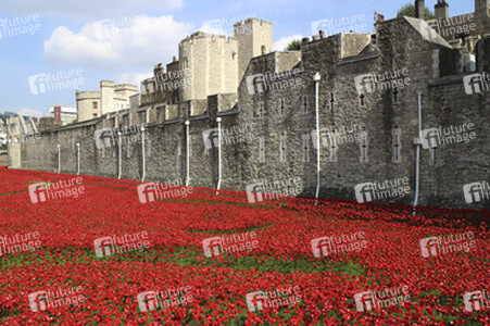 Poppy Installation am Tower, London