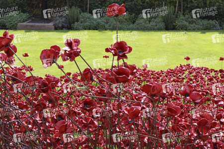 Poppy Installation am Tower, London